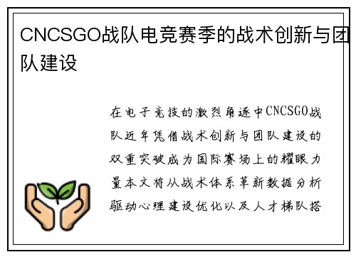 CNCSGO战队电竞赛季的战术创新与团队建设