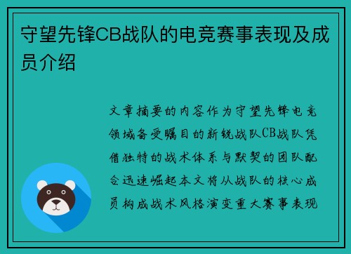 守望先锋CB战队的电竞赛事表现及成员介绍
