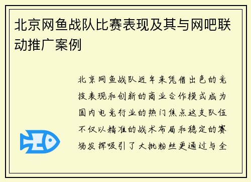 北京网鱼战队比赛表现及其与网吧联动推广案例